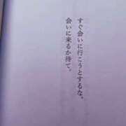 ヒメ日記 2025/10/25 20:15 投稿 ねる ベイビーモコ