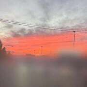 ヒメ日記 2025/11/05 20:02 投稿 ねる ベイビーモコ