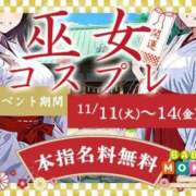 ヒメ日記 2025/11/11 14:02 投稿 ねる ベイビーモコ