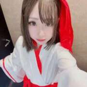 ヒメ日記 2025/11/11 17:10 投稿 ねる ベイビーモコ