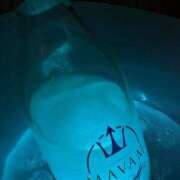 ヒメ日記 2025/11/19 01:49 投稿 ねる ベイビーモコ