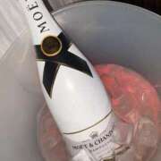 ヒメ日記 2025/11/20 11:07 投稿 ねる ベイビーモコ