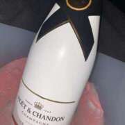 ヒメ日記 2025/11/21 21:05 投稿 ねる ベイビーモコ