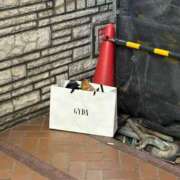 ヒメ日記 2025/12/01 23:34 投稿 ねる ベイビーモコ