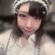 ヒメ日記 2025/12/03 12:33 投稿 ねる ベイビーモコ