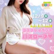 ヒメ日記 2025/12/07 16:21 投稿 ねる ベイビーモコ