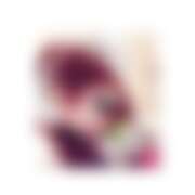 ヒメ日記 2025/12/07 23:56 投稿 ねる ベイビーモコ