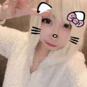 ヒメ日記 2025/12/19 13:31 投稿 ねる ベイビーモコ