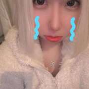 ヒメ日記 2025/12/19 20:21 投稿 ねる ベイビーモコ