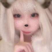 ヒメ日記 2025/12/20 22:29 投稿 ねる ベイビーモコ