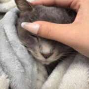 ヒメ日記 2025/12/20 23:15 投稿 ねる ベイビーモコ