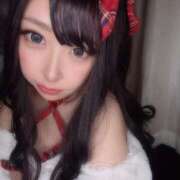 ヒメ日記 2025/12/23 16:37 投稿 ねる ベイビーモコ