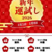 ヒメ日記 2026/01/07 12:52 投稿 ねる ベイビーモコ