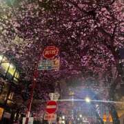 ヒメ日記 2026/04/07 06:35 投稿 マリ バイオレンス