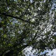 ヒメ日記 2026/04/21 06:45 投稿 マリ バイオレンス