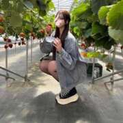 ヒメ日記 2025/04/20 00:08 投稿 のん【プレミアム】 大人のゴシャール