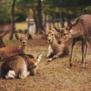 ヒメ日記 2025/04/25 23:11 投稿 りお Lui（ルイ）