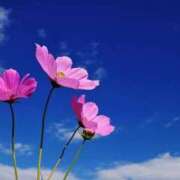 ヒメ日記 2025/04/26 00:15 投稿 りお Lui（ルイ）