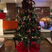 ヒメ日記 2025/12/19 15:12 投稿 りお Lui（ルイ）