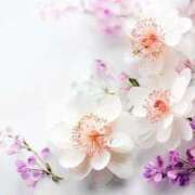 ヒメ日記 2026/02/03 16:28 投稿 りお Lui（ルイ）