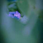 ヒメ日記 2026/02/08 14:56 投稿 りお Lui（ルイ）