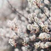 ヒメ日記 2026/03/02 15:15 投稿 りお Lui（ルイ）