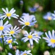 りお お礼💌 Lui（ルイ）