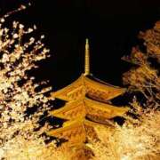 ヒメ日記 2025/04/16 10:55 投稿 染井さくら おいしい人妻熟女