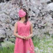 ヒメ日記 2025/04/23 11:42 投稿 染井さくら おいしい人妻熟女