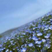 ヒメ日記 2025/04/25 09:22 投稿 染井さくら おいしい人妻熟女