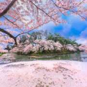 ヒメ日記 2025/05/02 09:47 投稿 染井さくら おいしい人妻熟女