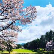 ヒメ日記 2025/05/07 11:47 投稿 染井さくら おいしい人妻熟女