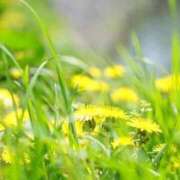 ヒメ日記 2025/05/09 09:45 投稿 染井さくら おいしい人妻熟女