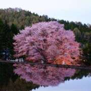 ヒメ日記 2025/05/26 11:46 投稿 染井さくら おいしい人妻熟女