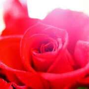 ヒメ日記 2025/06/16 14:49 投稿 染井さくら おいしい人妻熟女