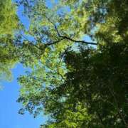 ヒメ日記 2025/06/22 10:35 投稿 染井さくら おいしい人妻熟女