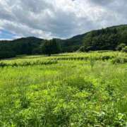 ヒメ日記 2025/06/30 12:48 投稿 染井さくら おいしい人妻熟女