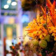 ヒメ日記 2025/07/12 09:15 投稿 染井さくら おいしい人妻熟女