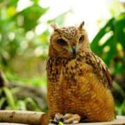 ヒメ日記 2025/07/27 15:18 投稿 染井さくら おいしい人妻熟女