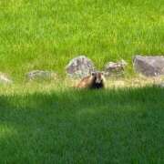 ヒメ日記 2025/07/29 09:19 投稿 染井さくら おいしい人妻熟女