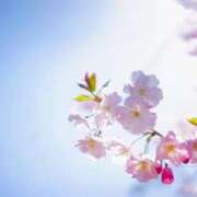 ヒメ日記 2025/07/30 18:22 投稿 染井さくら おいしい人妻熟女