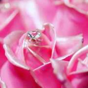 ヒメ日記 2025/07/31 10:50 投稿 染井さくら おいしい人妻熟女