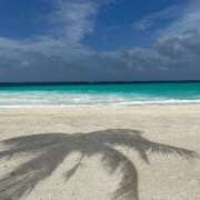 ヒメ日記 2025/08/01 11:05 投稿 染井さくら おいしい人妻熟女