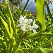 ヒメ日記 2025/09/18 17:30 投稿 染井さくら おいしい人妻熟女