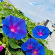 ヒメ日記 2025/10/13 22:18 投稿 染井さくら おいしい人妻熟女