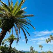 ヒメ日記 2025/10/22 16:15 投稿 染井さくら おいしい人妻熟女