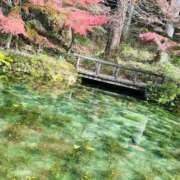 ヒメ日記 2025/11/07 11:27 投稿 染井さくら おいしい人妻熟女