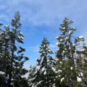 染井さくら おはようございます😍 おいしい人妻熟女