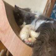 ヒメ日記 2025/05/16 09:15 投稿 あまね エアポート