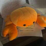 ヒメ日記 2025/05/20 13:34 投稿 あまね エアポート